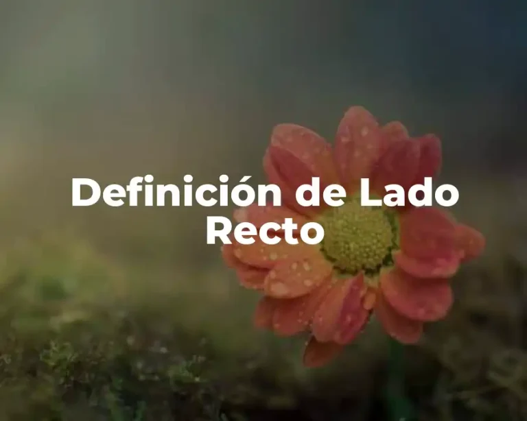 Definición de Lado Recto