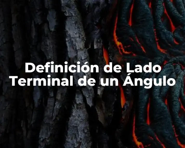 Definición de Lado Terminal de un Ángulo