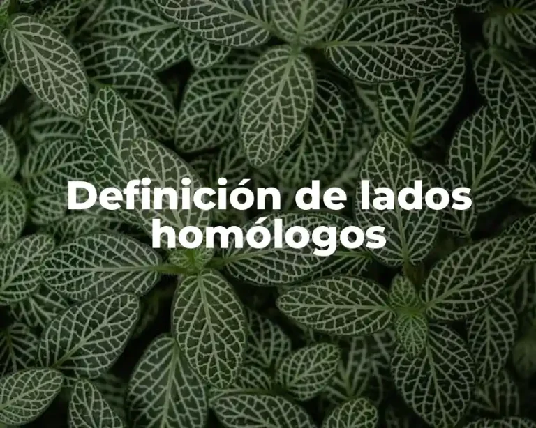 Definición de lados homólogos
