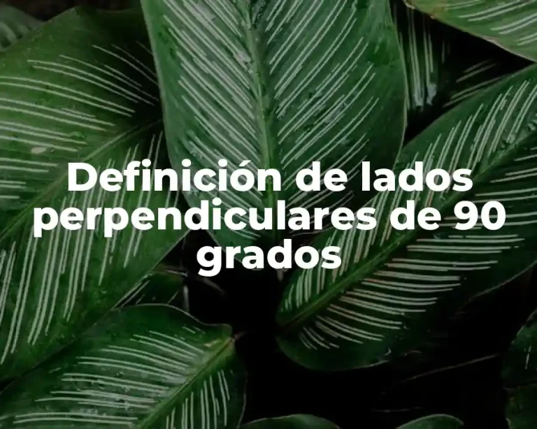 Definición de lados perpendiculares de 90 grados
