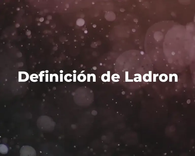 Definición de Ladron