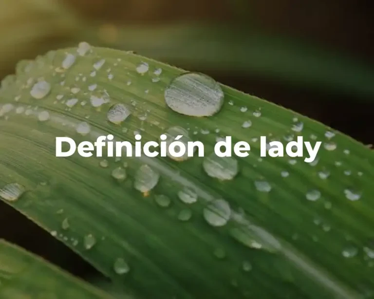 Definición de lady