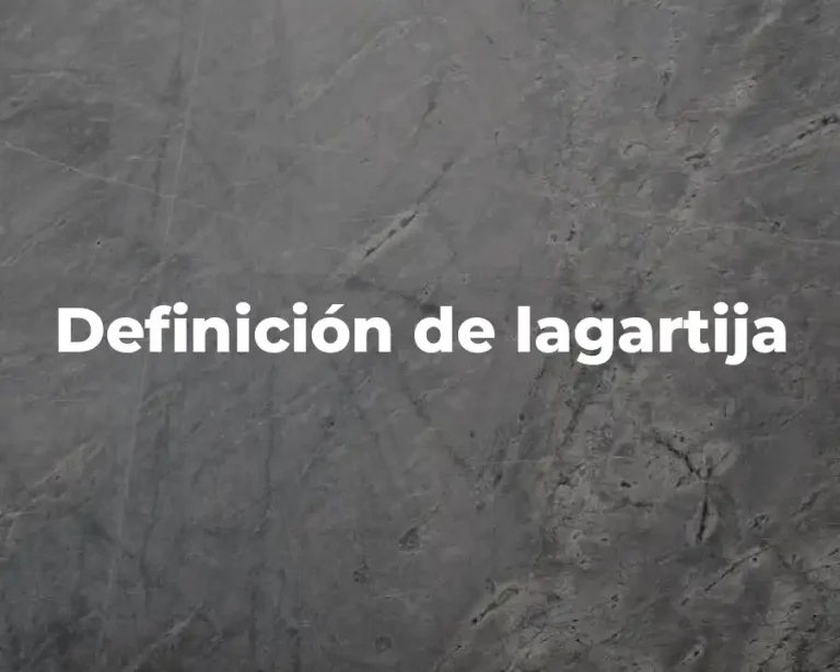 Definición de lagartija