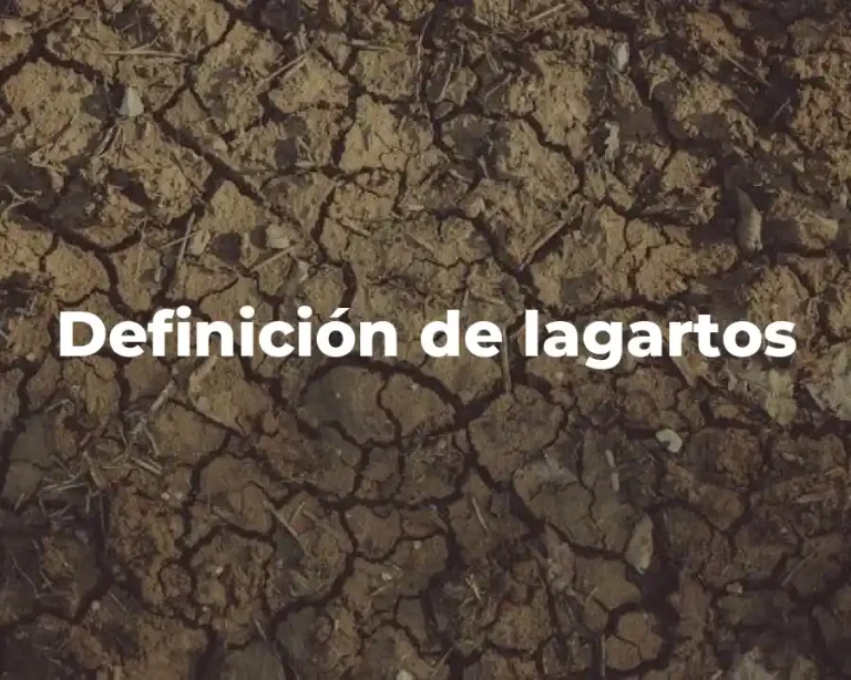 Definición de lagartos