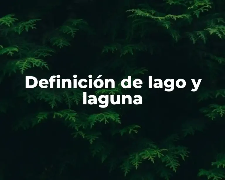Definición de lago y laguna