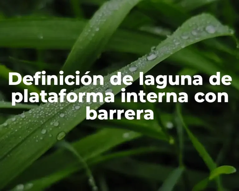 Definición de laguna de plataforma interna con barrera