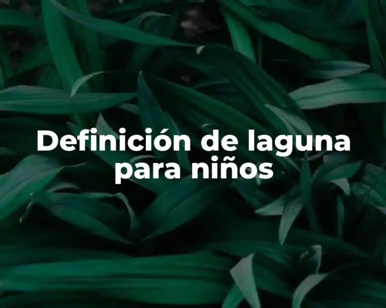 Definición de laguna para niños