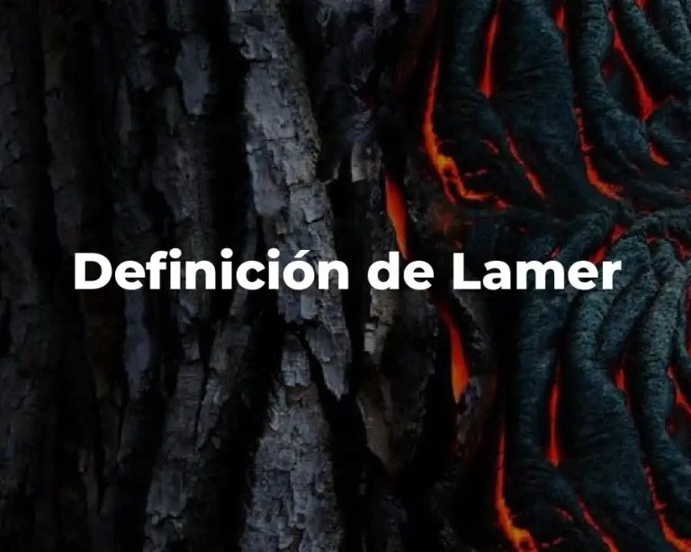 Definición de Lamer