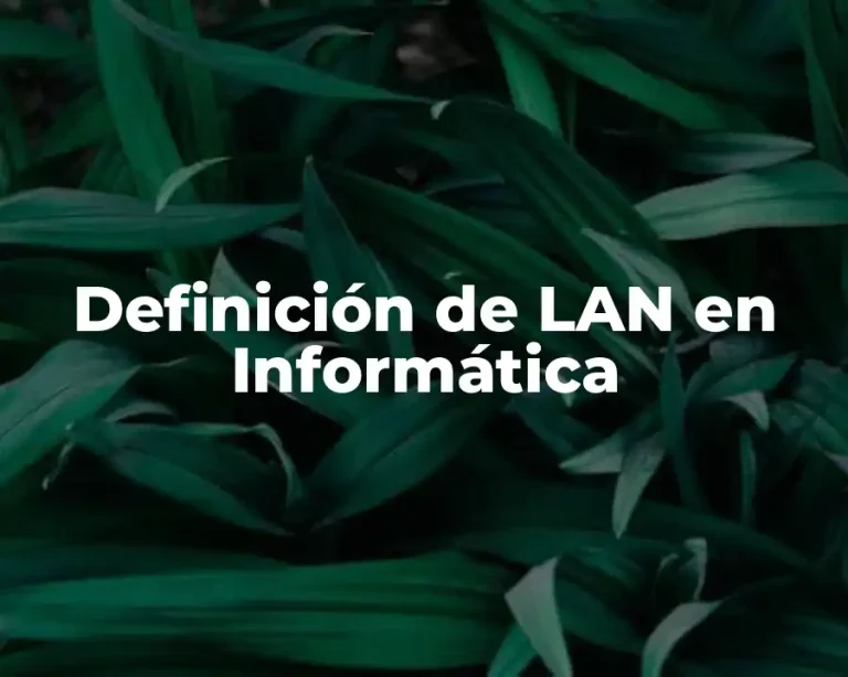 Definición de LAN en Informática