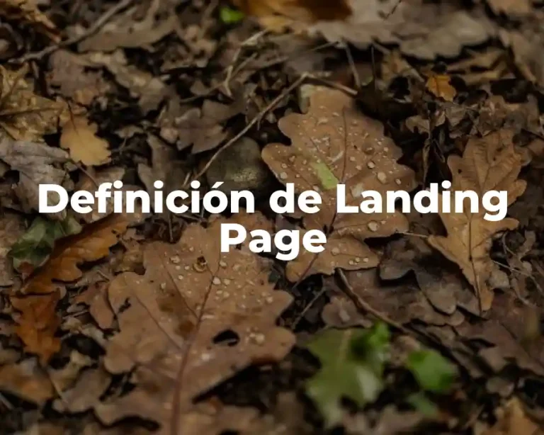 Definición de Landing Page