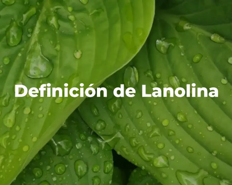 Definición de Lanolina