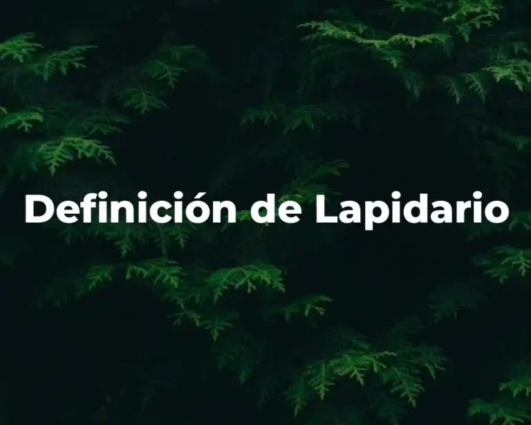 Definición de Lapidario