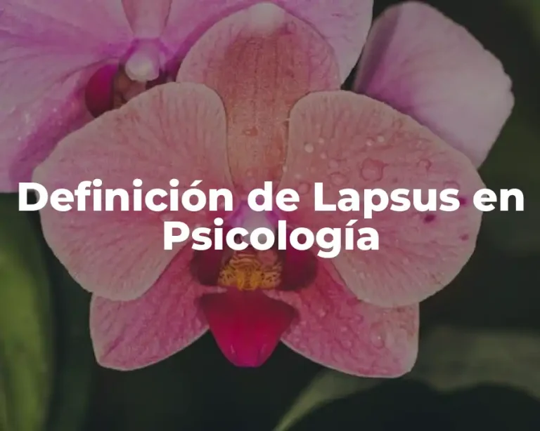 Definición de Lapsus en Psicología