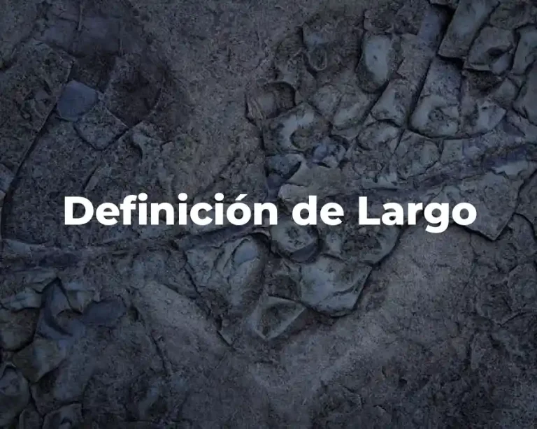 Definición de Largo