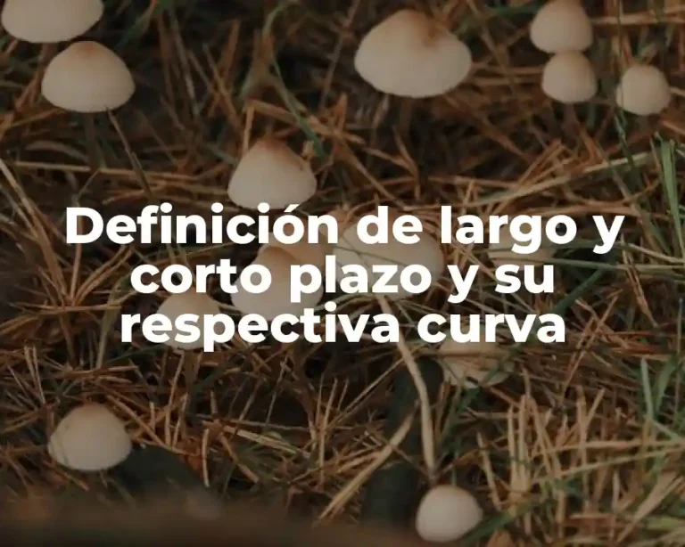 Definición de largo y corto plazo y su respectiva curva