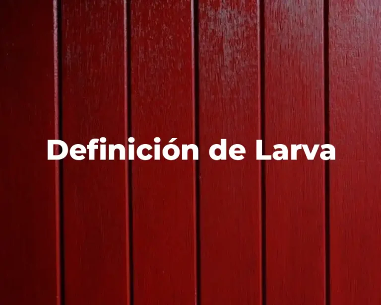 Definición de Larva