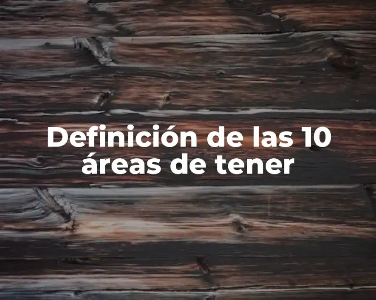 Definición de las 10 áreas de tener