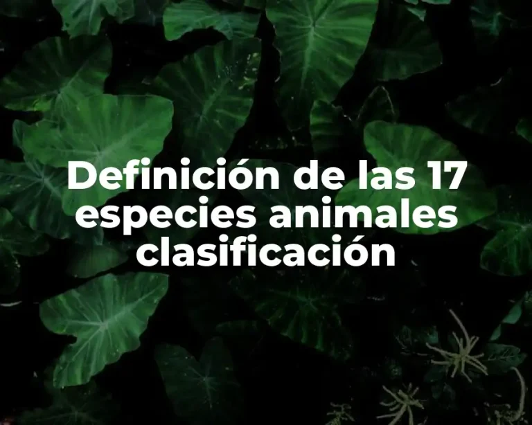 Definición de las 17 especies animales clasificación