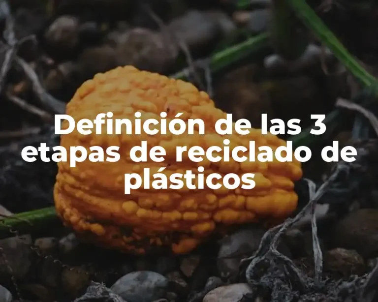 Definición de las 3 etapas de reciclado de plásticos