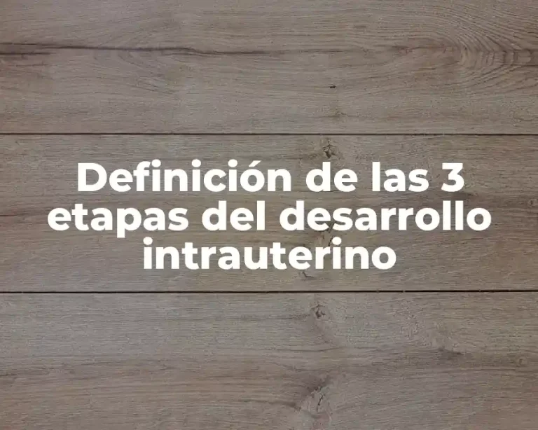 Definición de las 3 etapas del desarrollo intrauterino