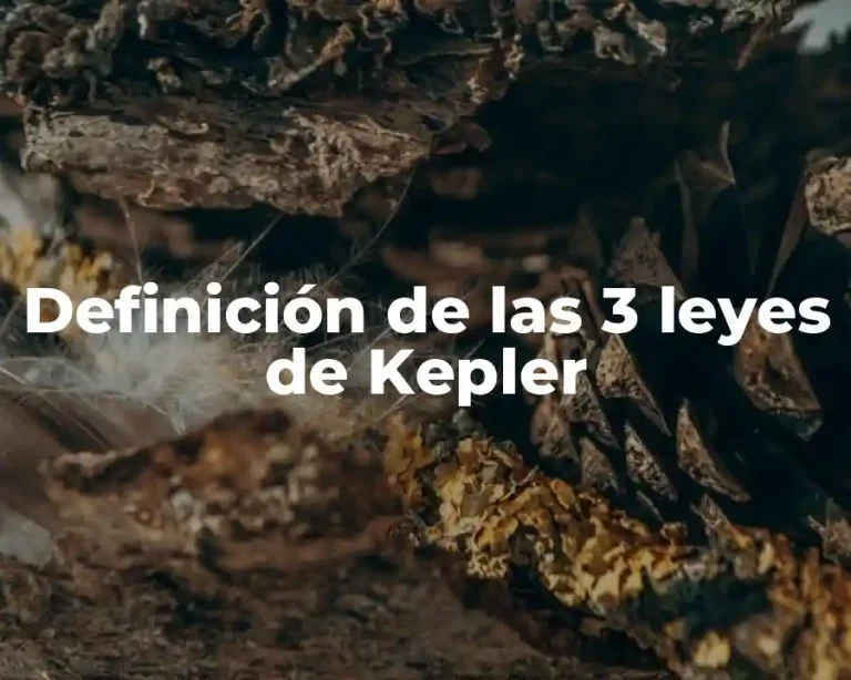 Definición de las 3 leyes de Kepler