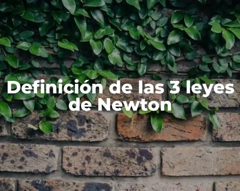 Definición de las 3 leyes de Newton