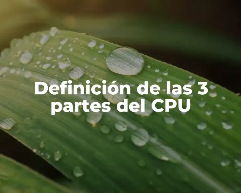 Definición de las 3 partes del CPU