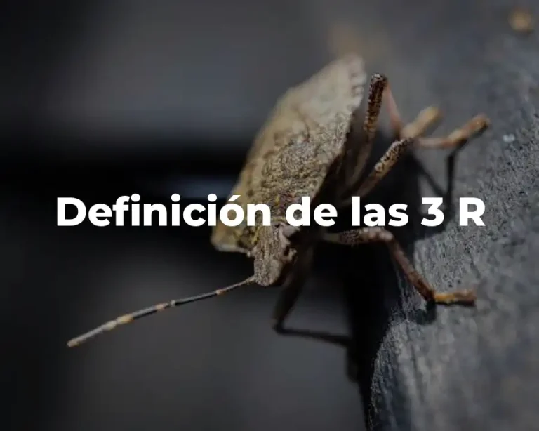 Definición de las 3 R