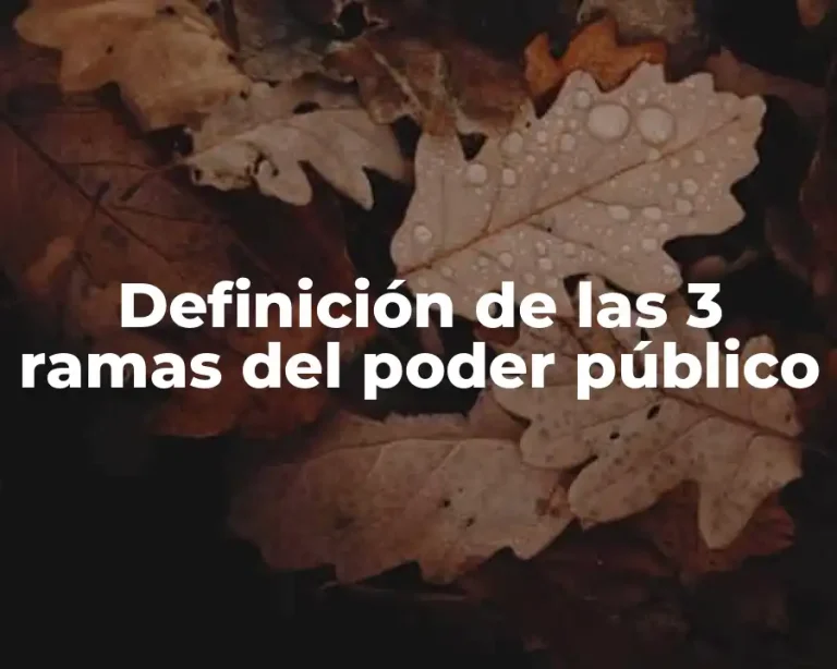 Definición de las 3 ramas del poder público