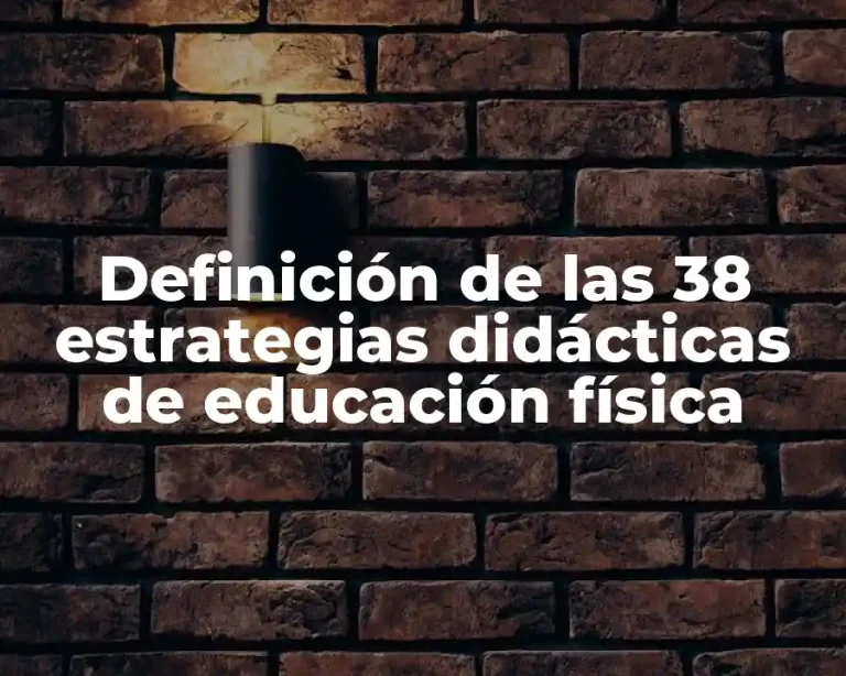 Definición de las 38 estrategias didácticas de educación física