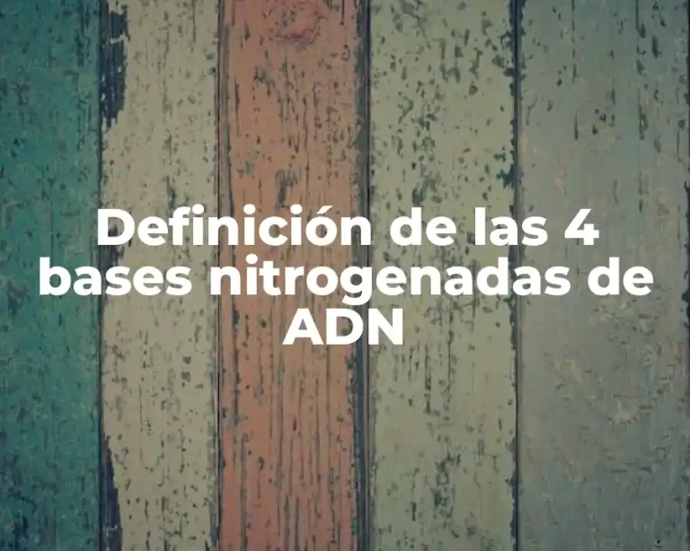 Definición de las 4 bases nitrogenadas de ADN