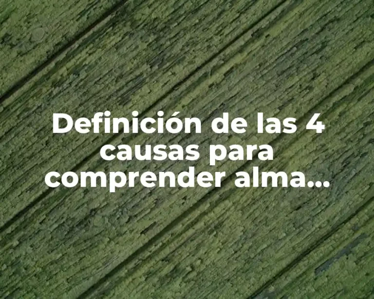 Definición de las 4 causas para comprender alma racional