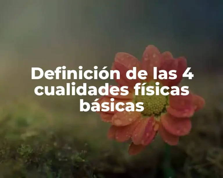 Definición de las 4 cualidades físicas básicas