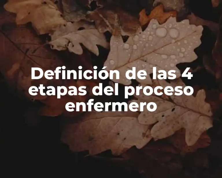 Definición de las 4 etapas del proceso enfermero