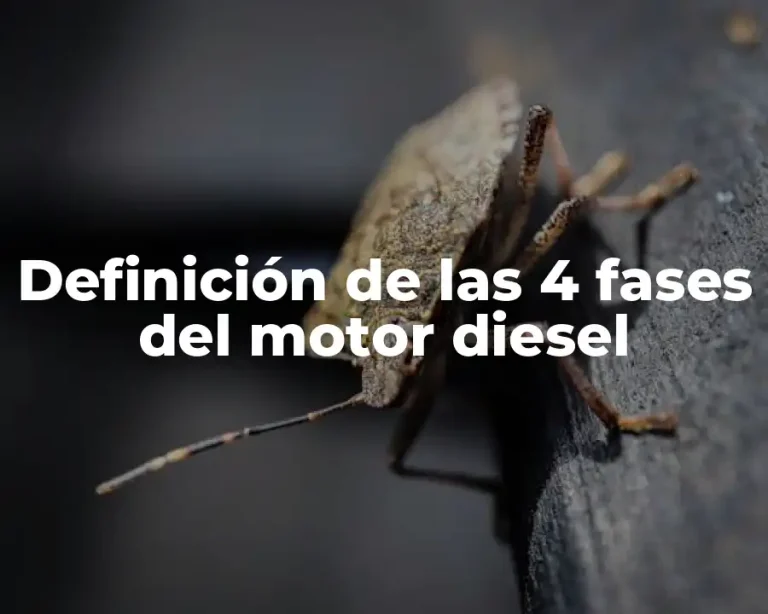 Definición de las 4 fases del motor diesel