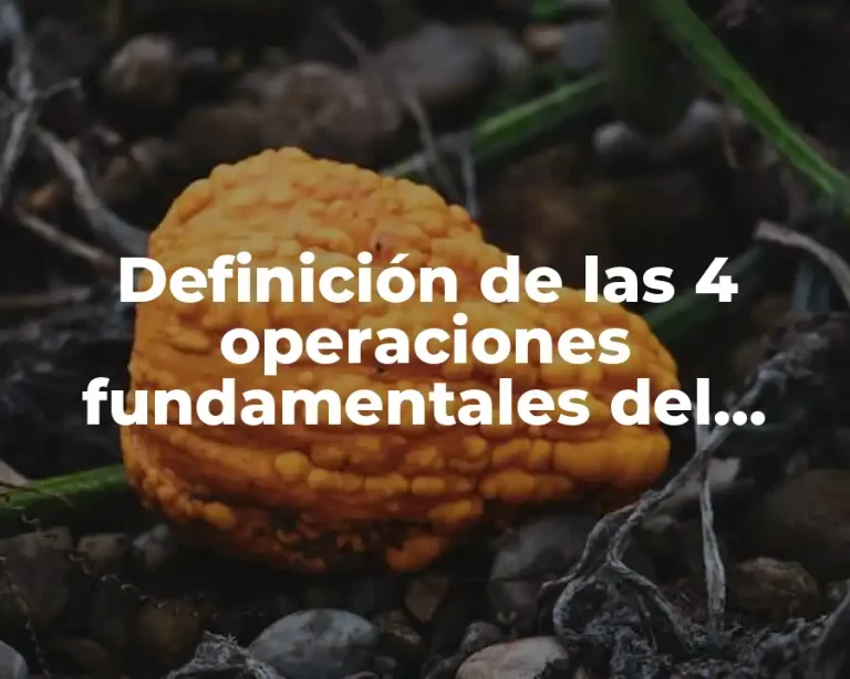 Definición de las 4 operaciones fundamentales del algebra