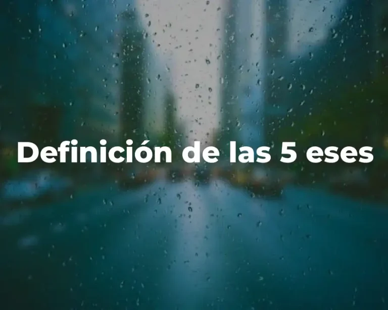 Definición de las 5 eses