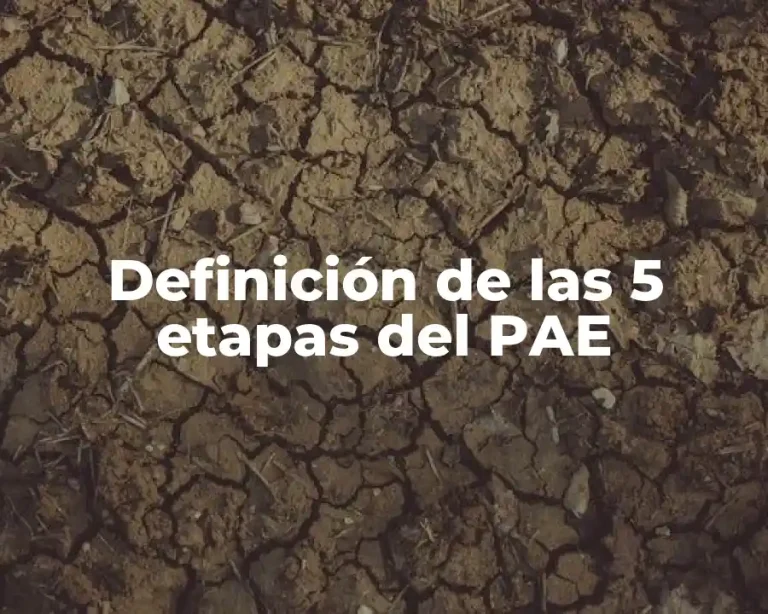 Definición de las 5 etapas del PAE