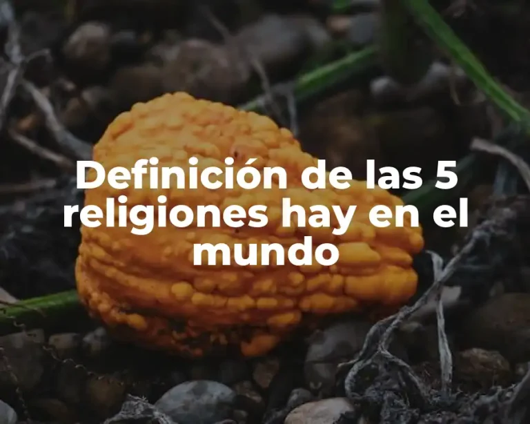 Definición de las 5 religiones hay en el mundo