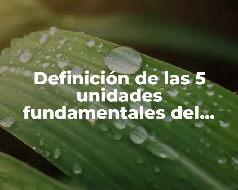 Definición de las 5 unidades fundamentales del sistema internacional