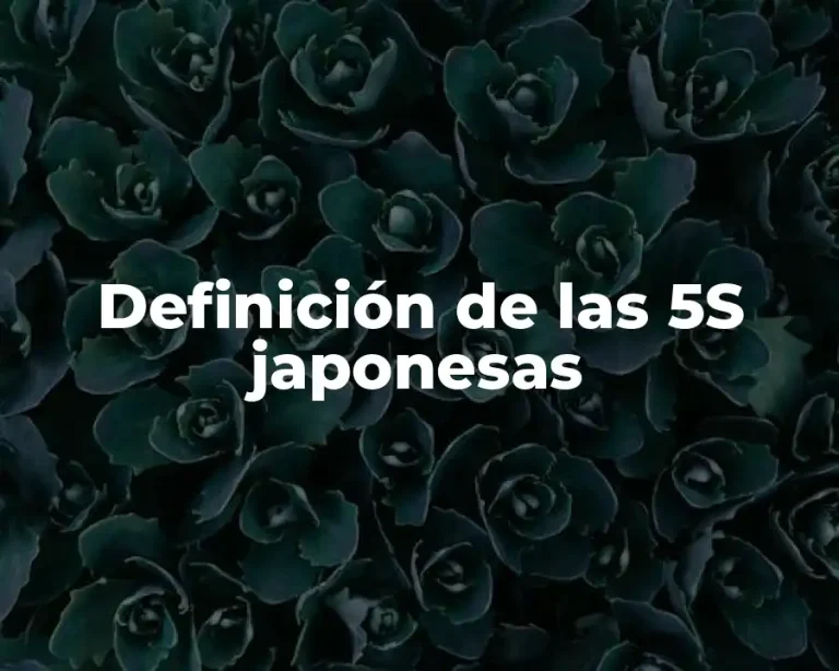 Definición de las 5S japonesas