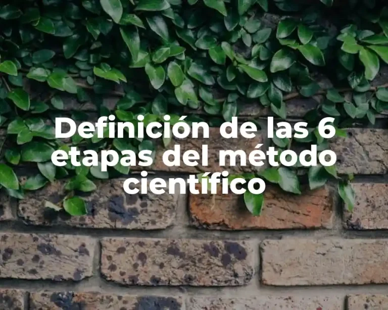 Definición de las 6 etapas del método científico