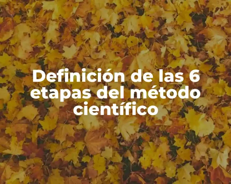 Definición de las 6 etapas del método científico