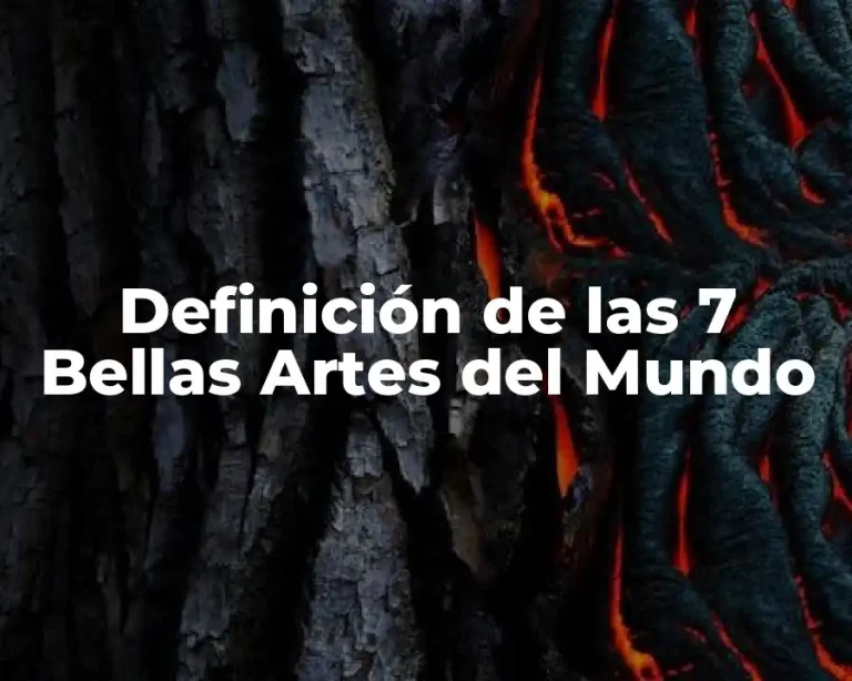 Definición de las 7 Bellas Artes del Mundo