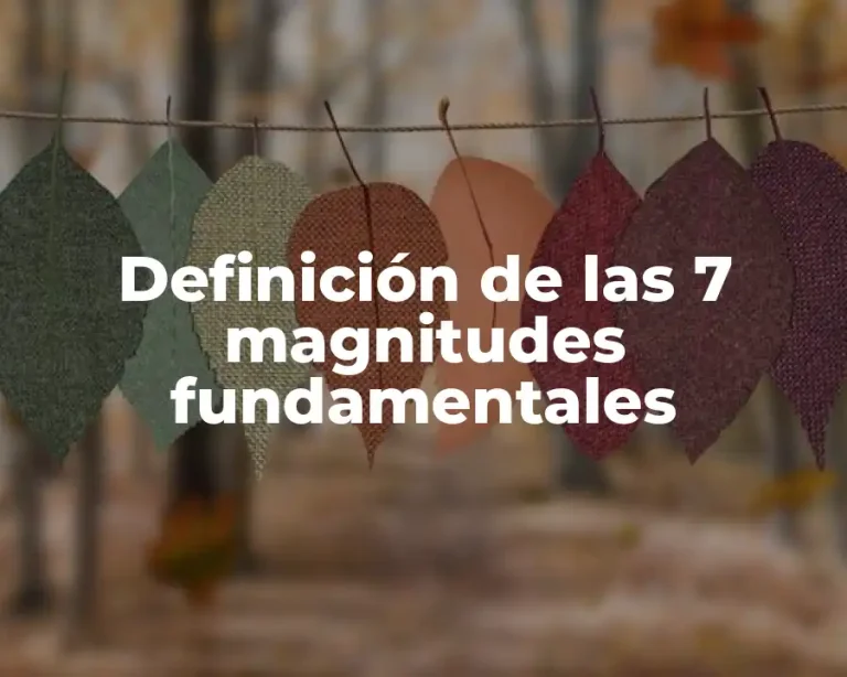 Definición de las 7 magnitudes fundamentales
