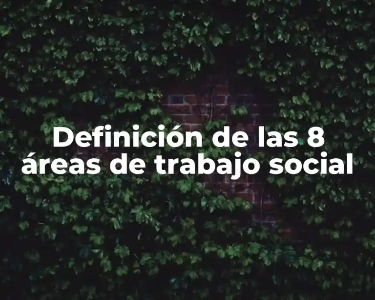 Definición de las 8 áreas de trabajo social