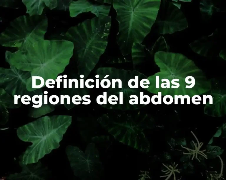 Definición de las 9 regiones del abdomen