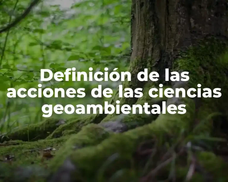 Definición de las acciones de las ciencias geoambientales
