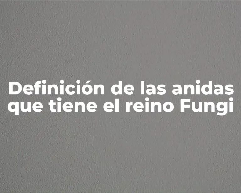 Definición de las anidas que tiene el reino Fungi