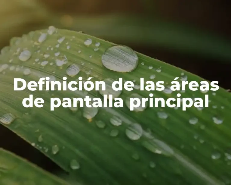 Definición de las áreas de pantalla principal